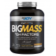 BİG JOY BİG MASS + GH FACTORS 3000 GR
